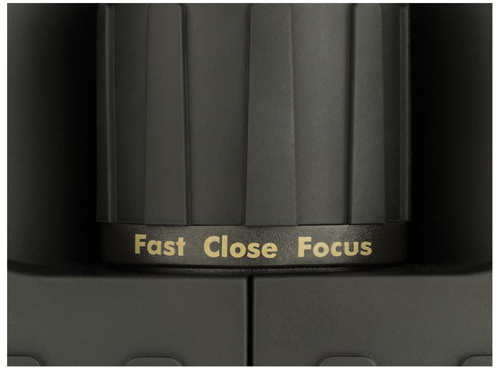 Steiner Observer 8x42 Full Size Binoculars