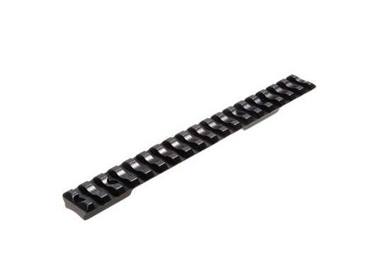 recknagel_savage_rail