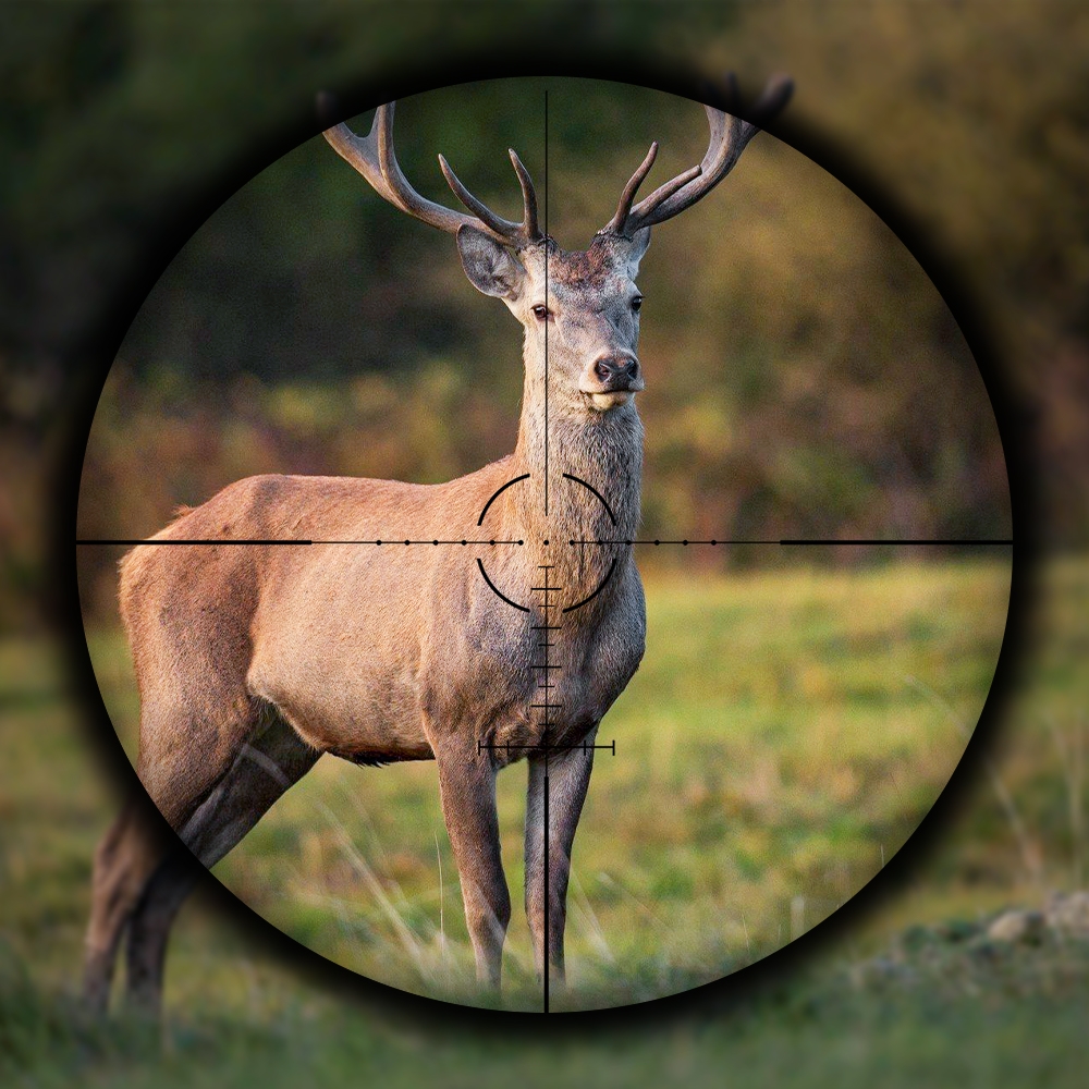 SPINA Optics Phalanx 2-12x44 SFP HD Circle Dot Milling Ret 1/2 MOA 30mm Rifle Scope with Free Picatinny Rings