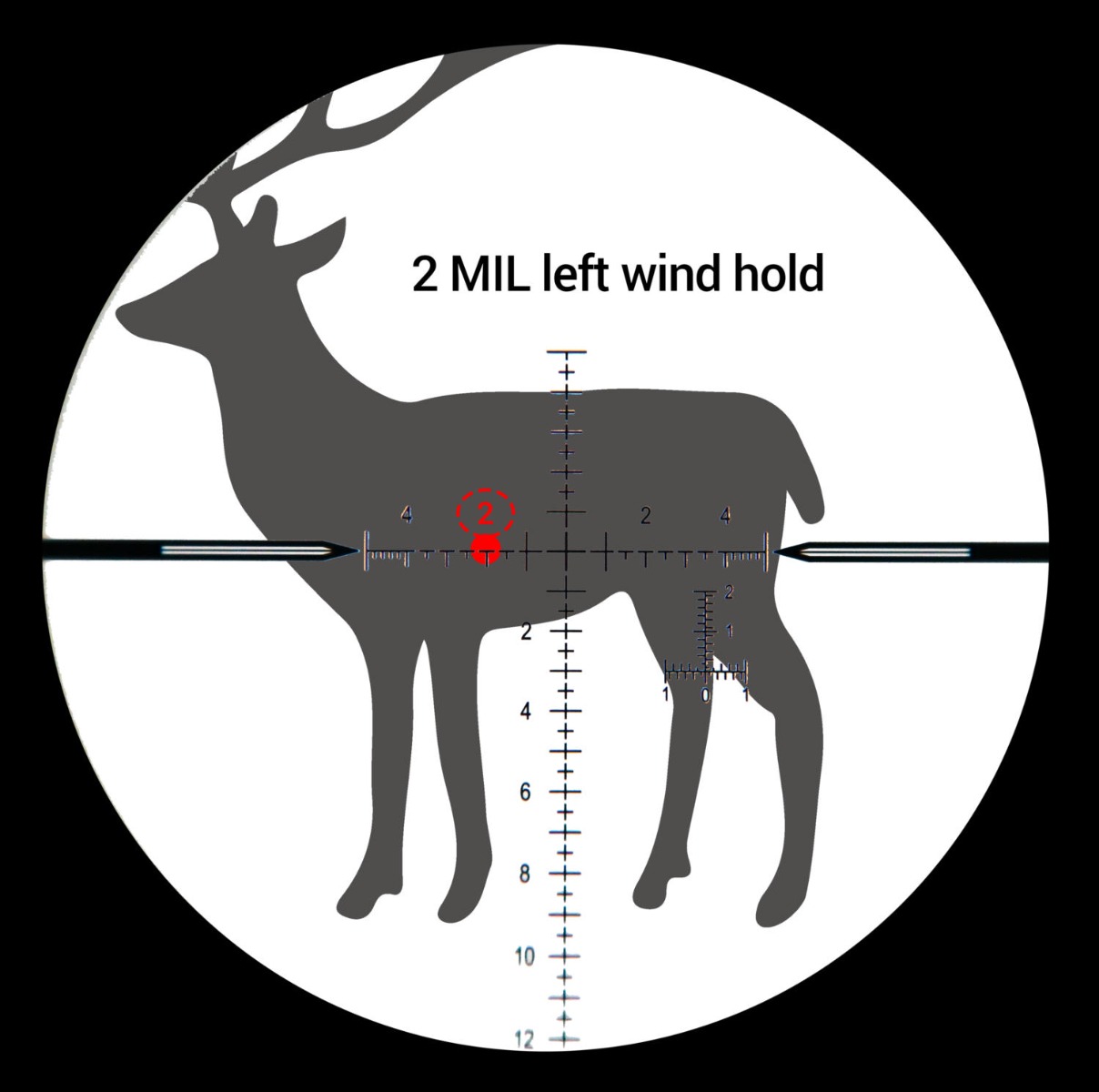 Long Range Shooting - Using a BDC scope reticle